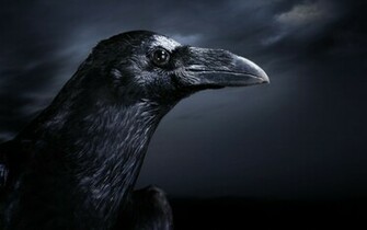 The Raven Underworldtales