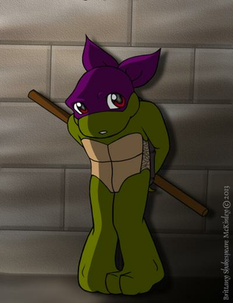 Tmnt Li L Donnie By Roseduelistbbshm