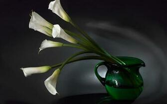 Flower Pot Wallpaper Water Sexydesire Xvlite