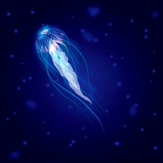 Real Glowing Jellyfish Wallpaper Gallery