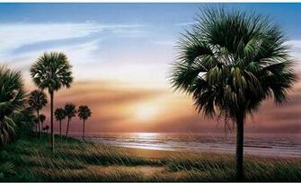 Palm Trees Extra Large Wallpaper Mural X Summer Holiday