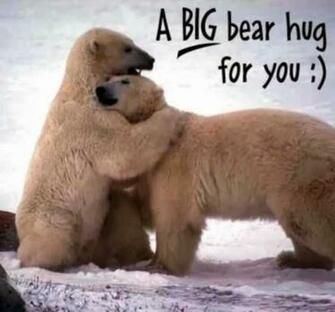 Happy Valentines Day Sms Quotes Wishes Hug