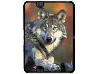Fall Background Snap On Hard Protective Case For Amazon Kindle Fire