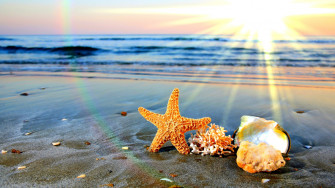 Summertime Background Wallpaper HD