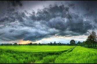 Green And Grey Wallpaper