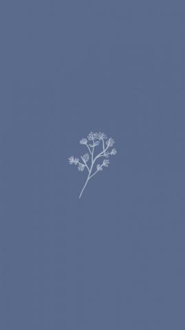 Mariamalbedaiwi Sent You A Pin In Minimalist Wallpaper