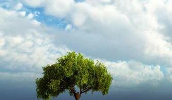 Netbook Wallpaper Landscape