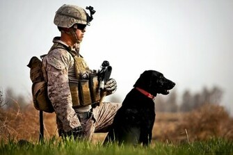 Us Marine HD Wallpaper008 Wallpaper007