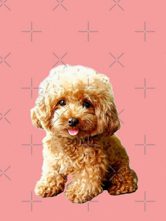 Mini Poodle Toy Cute Puppy Dog iPhone Case By