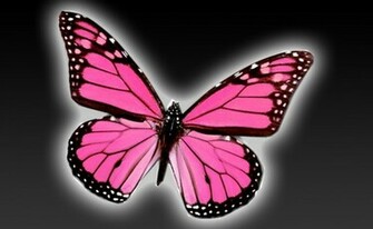 You Have It My Daughter S Favorite Hockey Team Is The Butterflies