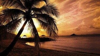Wallpaper Nature HDtv 1080p