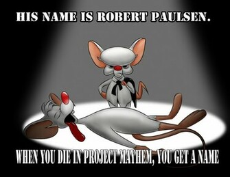 Pinky And The Brain Paulsen By Terrencep