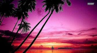 Pink Beach Sunset Wallpaper Pictures HD Amagico