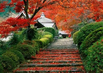Autumn Fall Nature Wallpaper Popular
