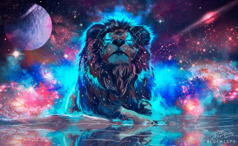 Cool Lion UHD Wallpaper