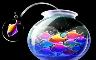 HD Sfondi Pesce Cartone Animato Acquario Bolle 3d Foto