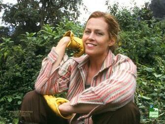 Sigourney Weaver Wallpaper Pictures And Photos All