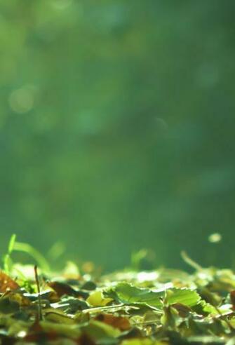 Wallpaper iPhone Parallax