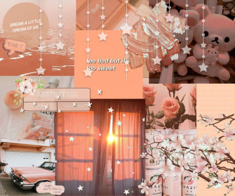 Aesthetic Wallpaper Peach Color
