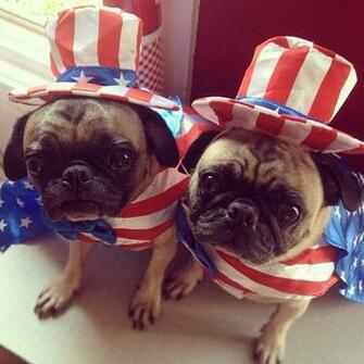 De Julio Happy Fourth Of July SpanisHDict Answers