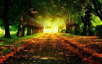 HDr Landscape Road Full HD Wallpaper And Background