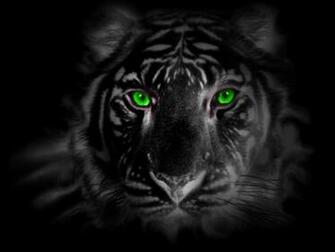 Black Tiger Eye Wallpaper Good Galleries