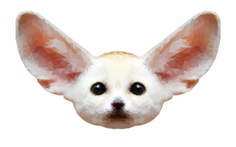Fennec Fox Png Transparent Background