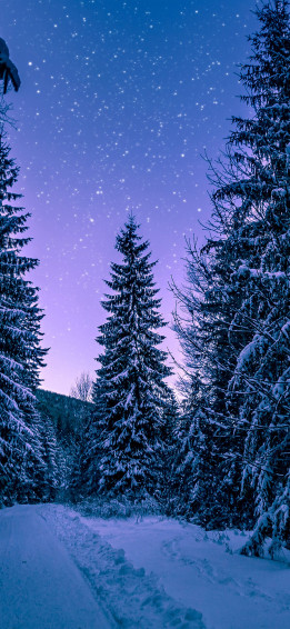 4k Winter Wallpaper For iPhone iPad Or Macbook
