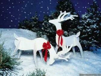 Christmas Reindeer Wallpaper