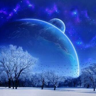 Under The Blue Sky Black And White Winter