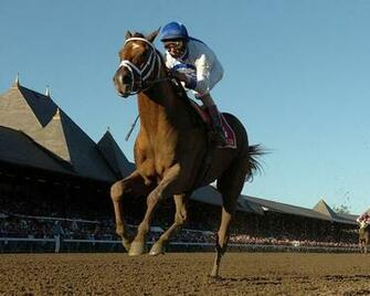 Saratoga Horse Racing Wallpaper