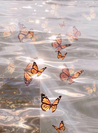 Soft Aesthetic iPhone Butterfly Wallpaper