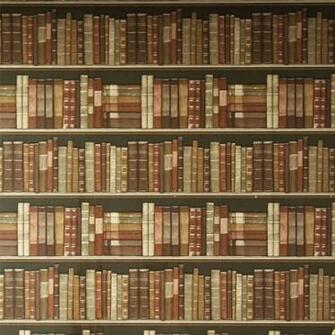 Bookshelves Wallpaper From Next Autumn Winter Trends