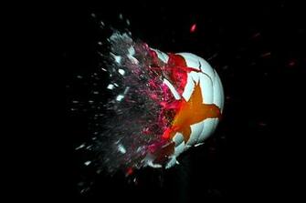 Egg Hit By Paintball Turtlevvisperer