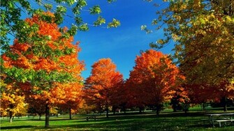 Bing Hub Of Fall Wallpaper A That