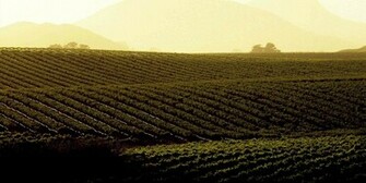 Farm Background Pictures