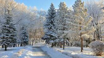 Beautiful Snowy Russian Winter HD Wallpaper Volganga