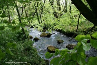 Soothing Peace Of Mind Pictures Serene Calming Wallpaper