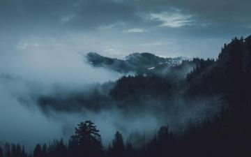 Moody Pictures Image