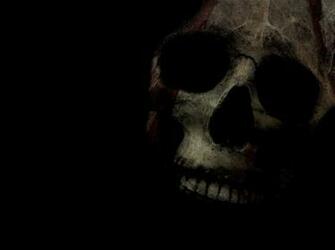 Schwarz Totenkopf Vektorgrafik