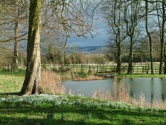 Spring Image Lake Scenes HD Wallpaper And Background Photos