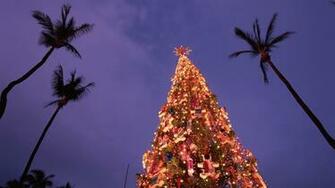 Christmas Hawaii Wallpaper
