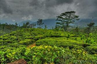 Wallpaper Sri Lanka Nature Sky Tropics Landscape Photography
