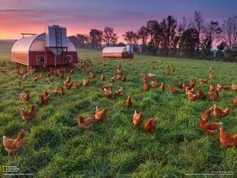 From The Curse Of Fertilizer National Geographic May