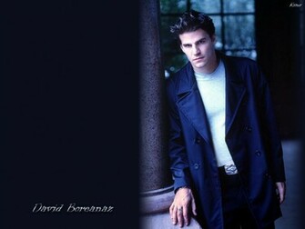 David Boreanaz Wallpaper