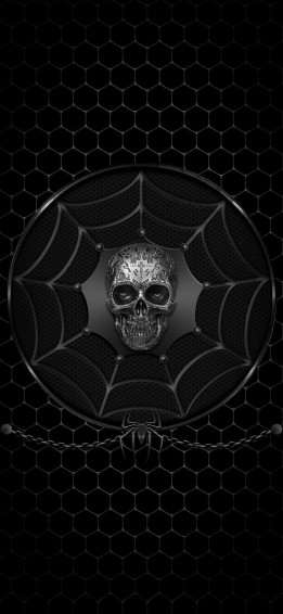 A Black And White Photo With Skull In It S Center Surrounded By Web Wallpaper