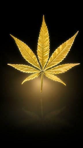 Bigger Marijuana Live Wallpaper For Android Screenshot