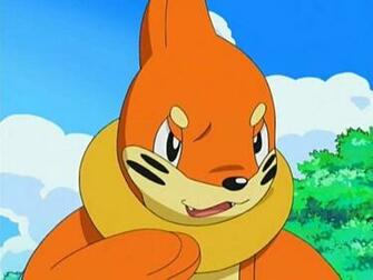 Buizel Image Pokemon