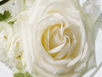 iPhone Wallpaper HD Top Best Background