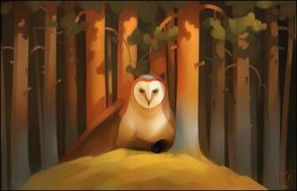 Noctua By Gaudibuendia Deviantart Art Owl